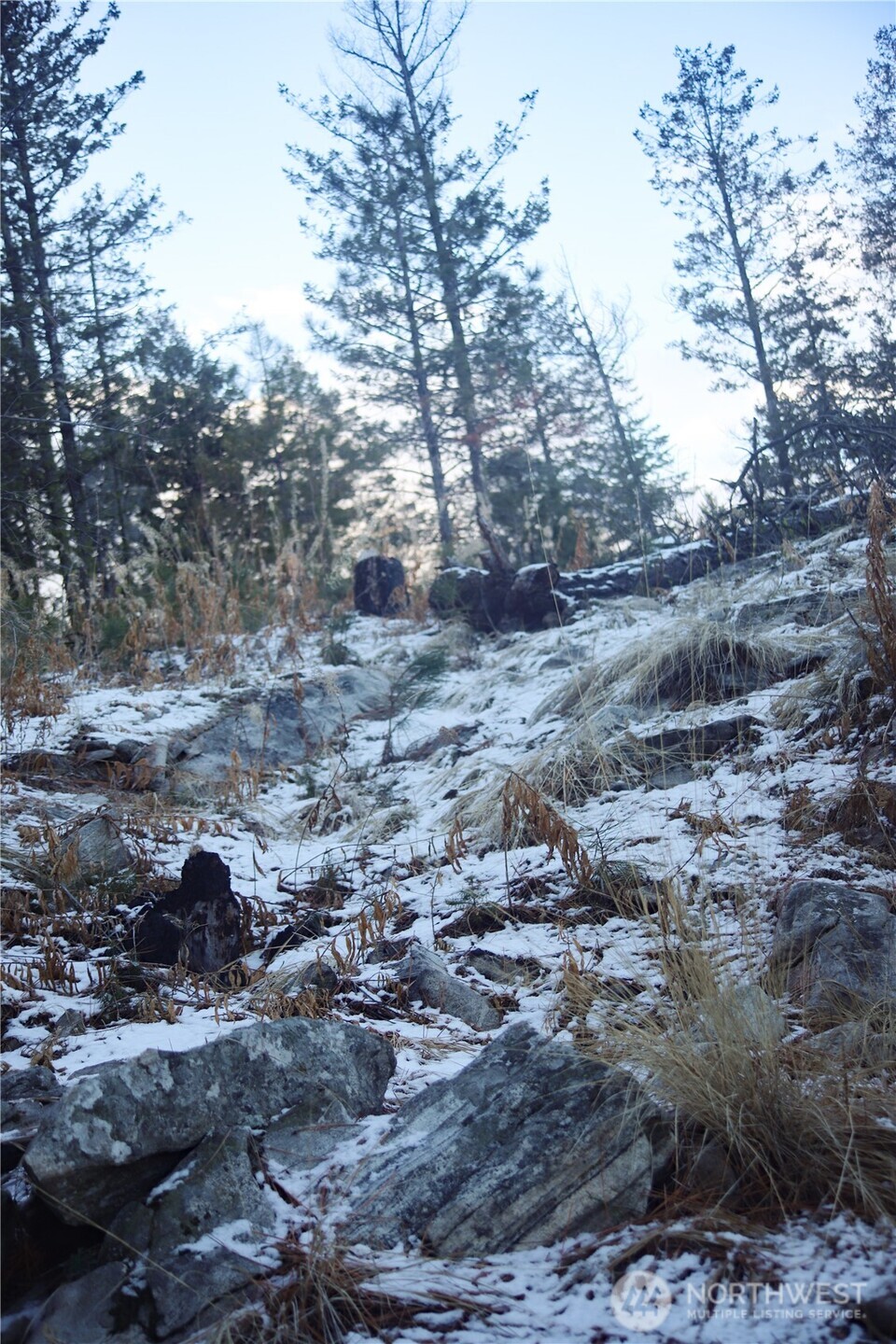 0 Xxxx Vacant Land (lot 95) Property Photo 8