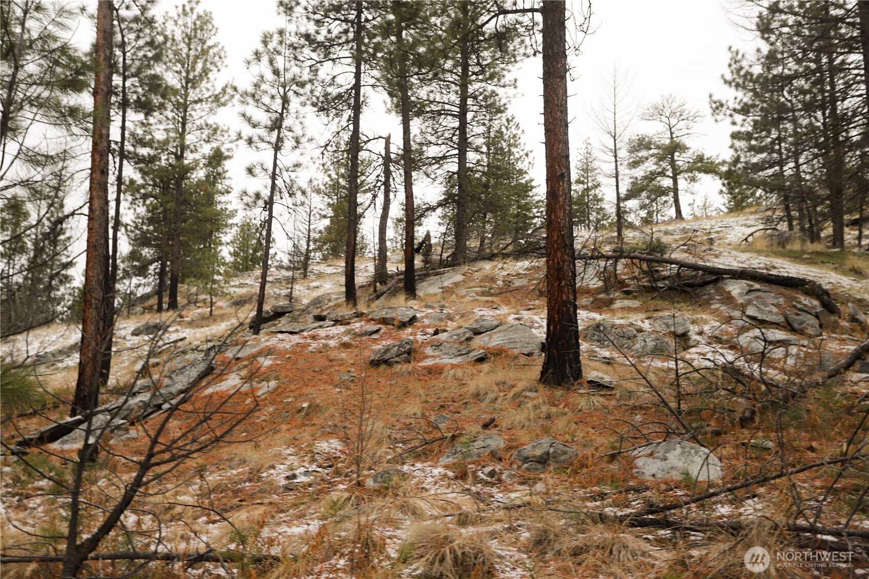 0 Xxxx Vacant Land (lot 95) Property Photo 15
