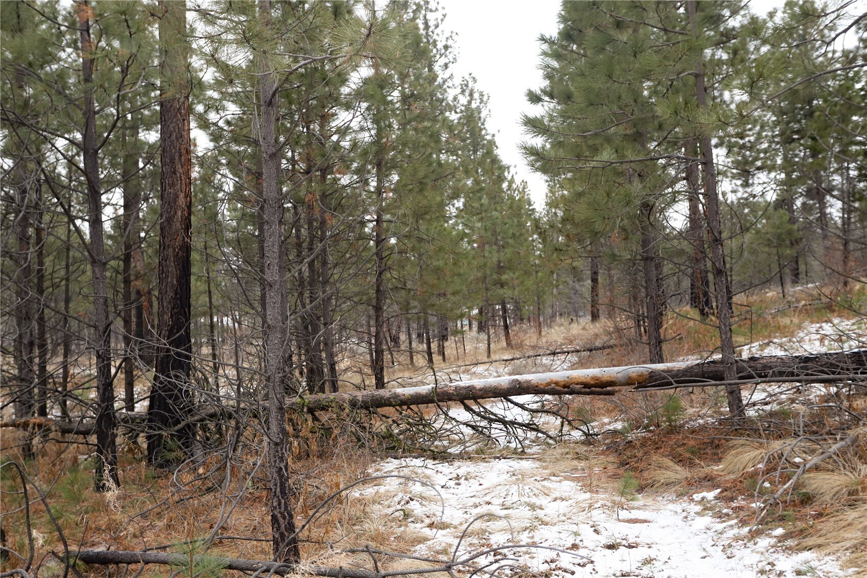 0 Xxxx Vacant Land (lot 95) Property Photo 16