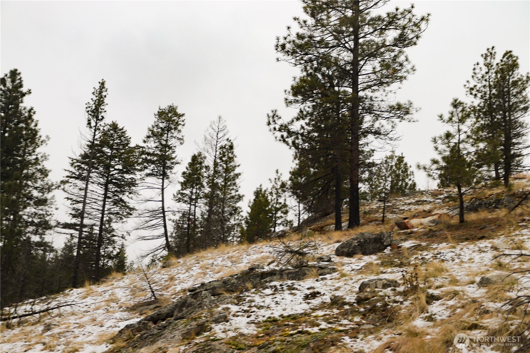 0 Xxxx Vacant Land (lot 95) Property Photo 18
