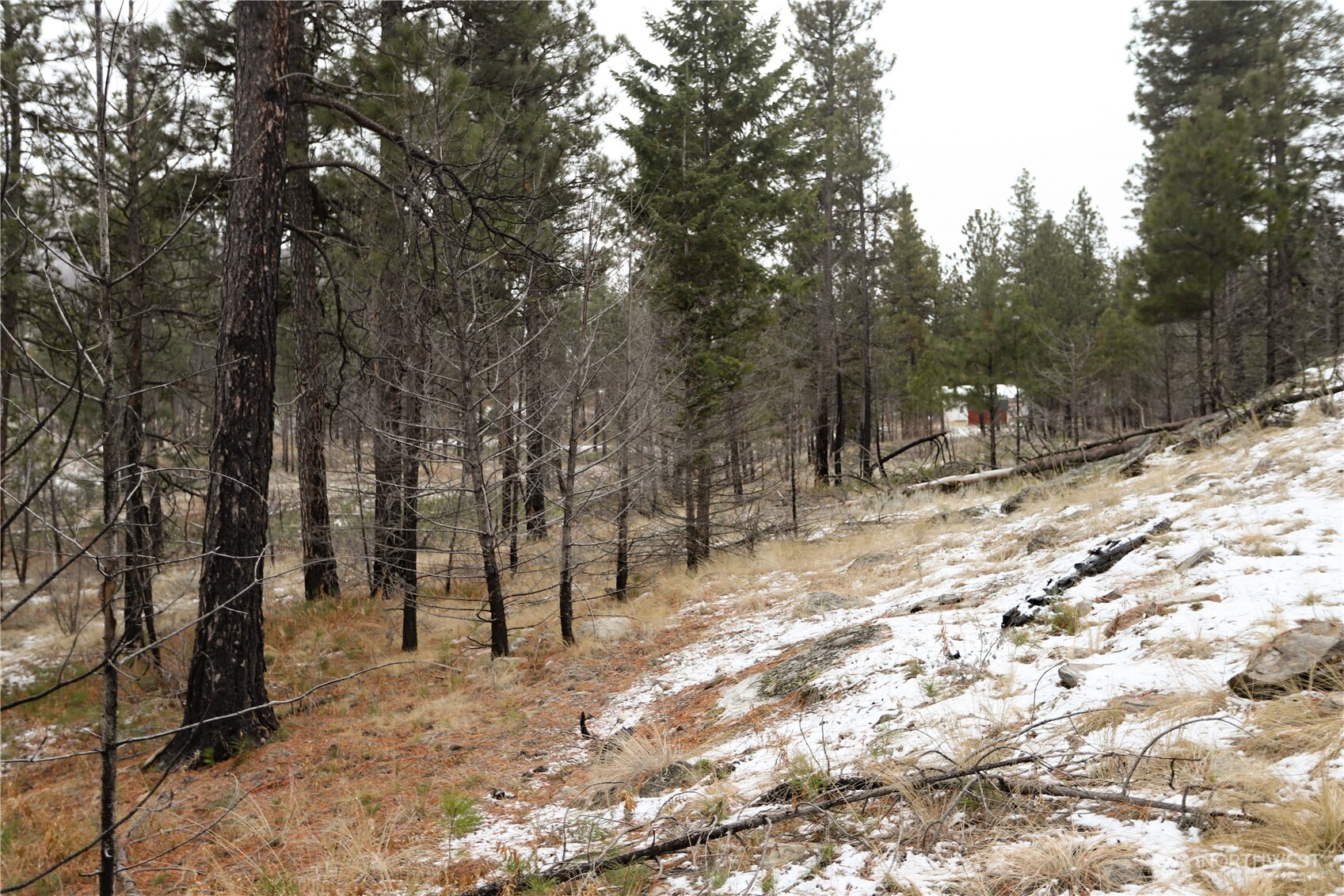 0 Xxxx Vacant Land (lot 95) Property Photo 19