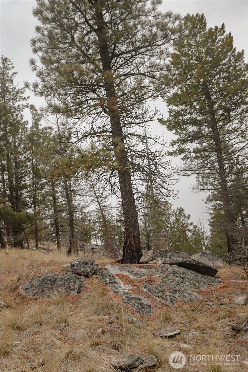 0 Xxxx Vacant Land (lot 95) Property Photo 20