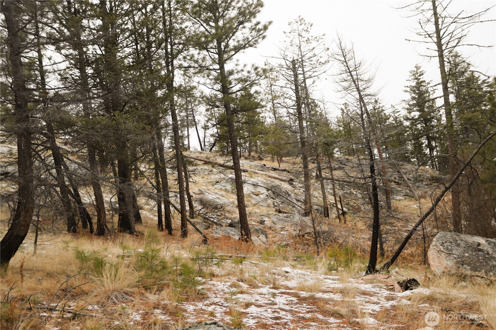 0 Xxxx Vacant Land (lot 95) Property Photo 21