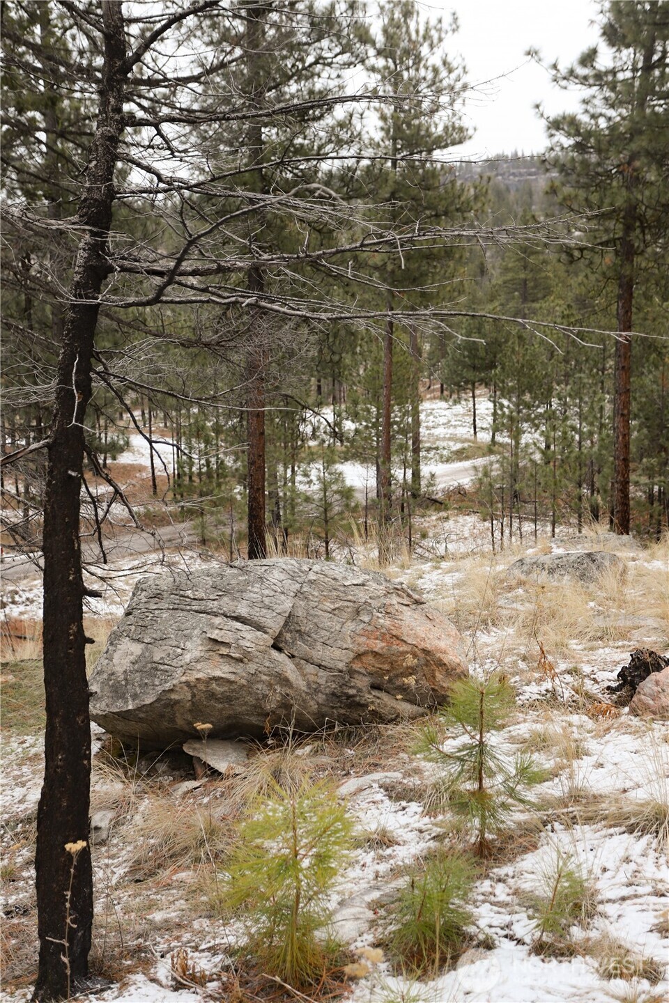 0 Xxxx Vacant Land (lot 95) Property Photo 24