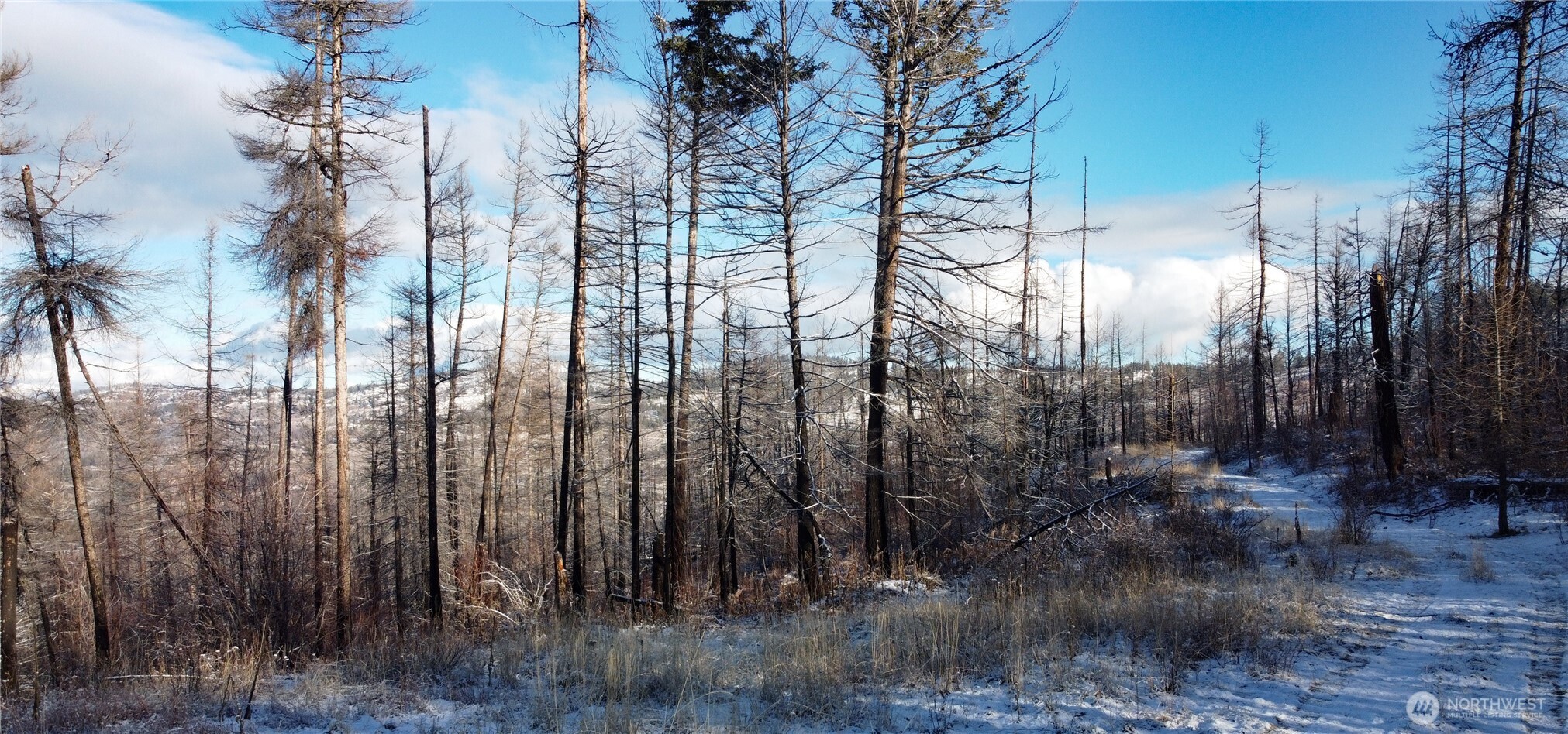 0 Xxxx Vacant Land (lot 95) Property Photo 28