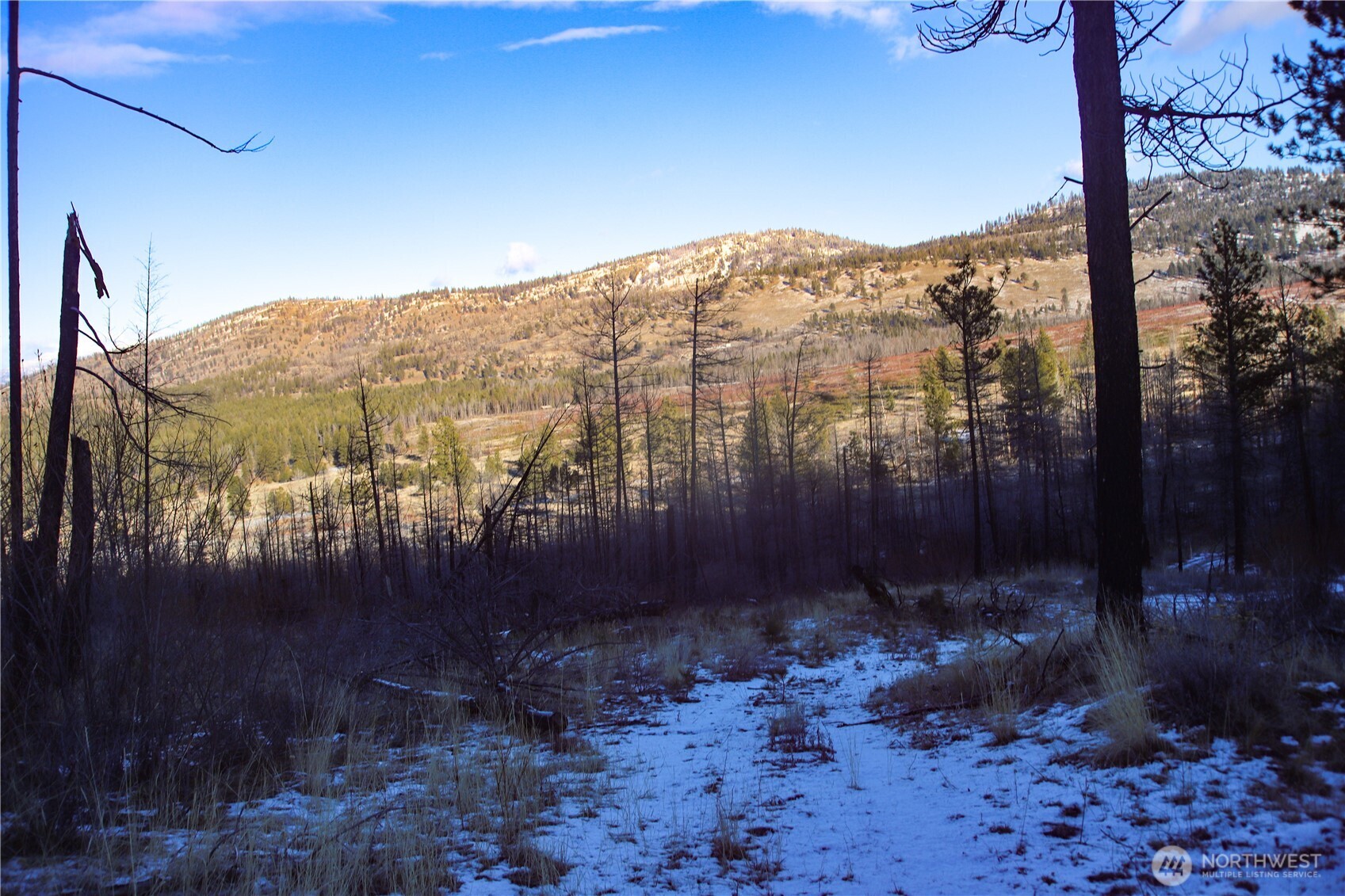 0 Xxxx Vacant Land (lot 14) Property Photo 5