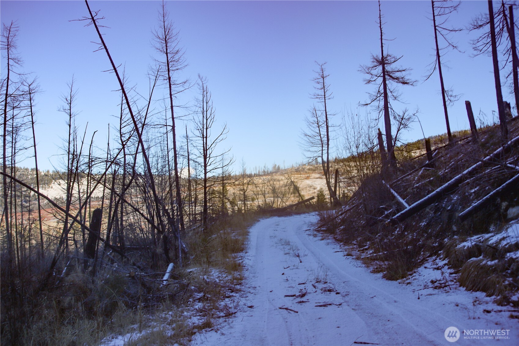 0 Xxxx Vacant Land (lot 14) Property Photo 6