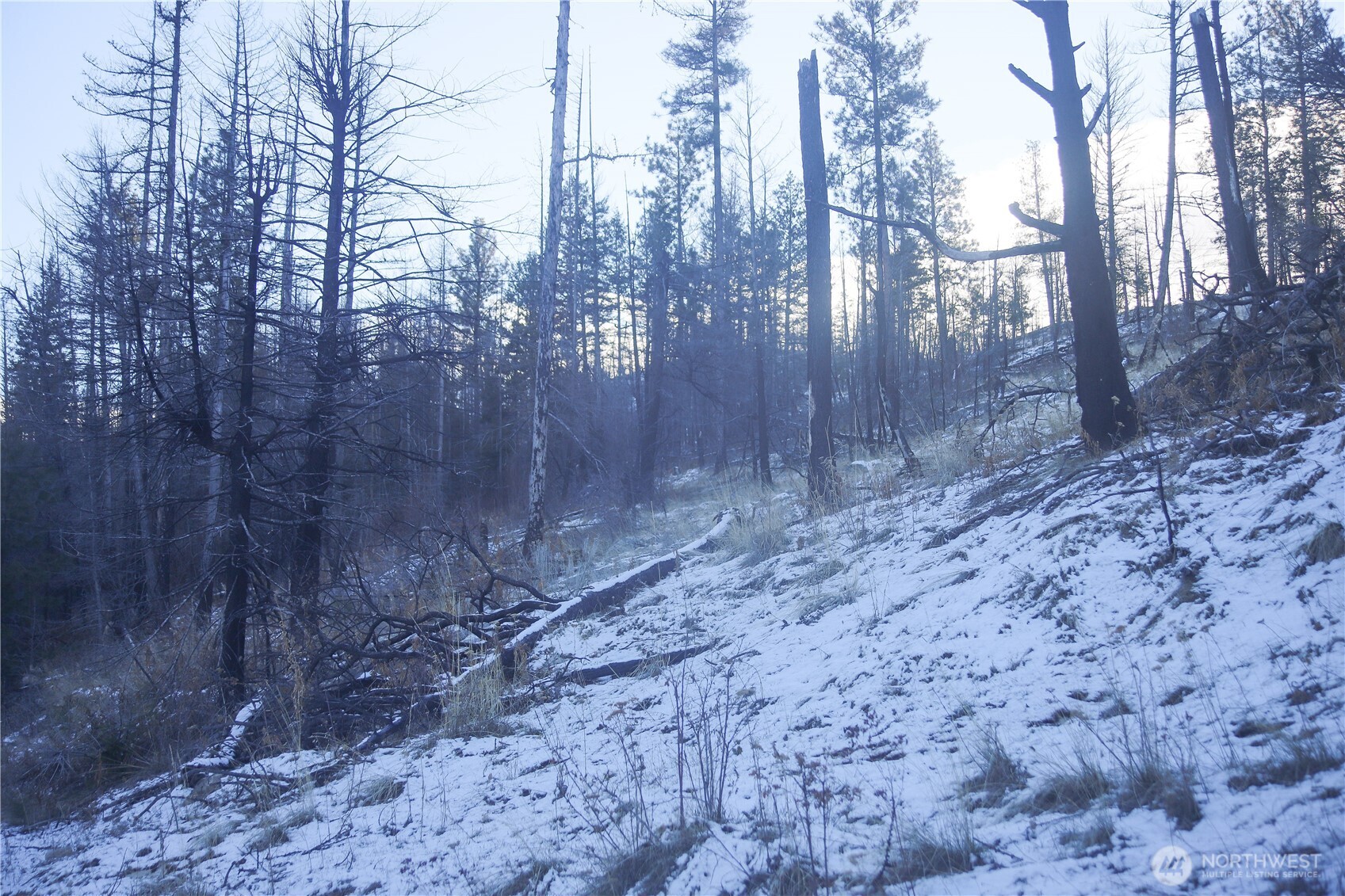 0 Xxxx Vacant Land (lot 14) Property Photo 10