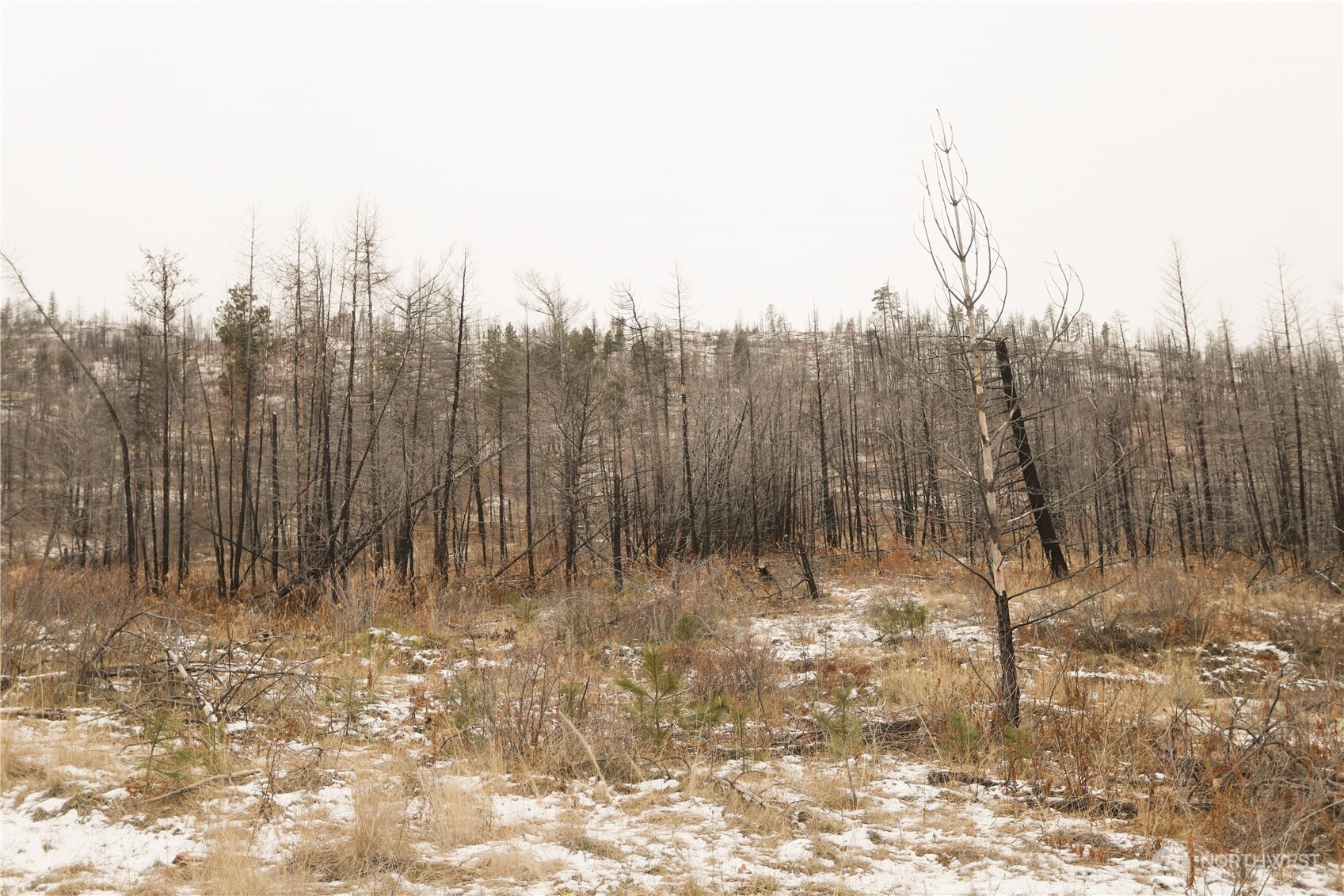 0 Xxxx Vacant Land (lot 14) Property Photo 31