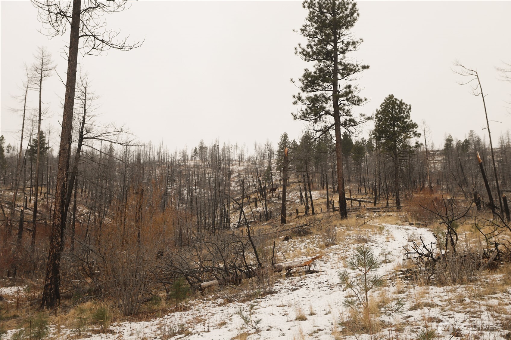0 Xxxx Vacant Land (lot 14) Property Photo 32