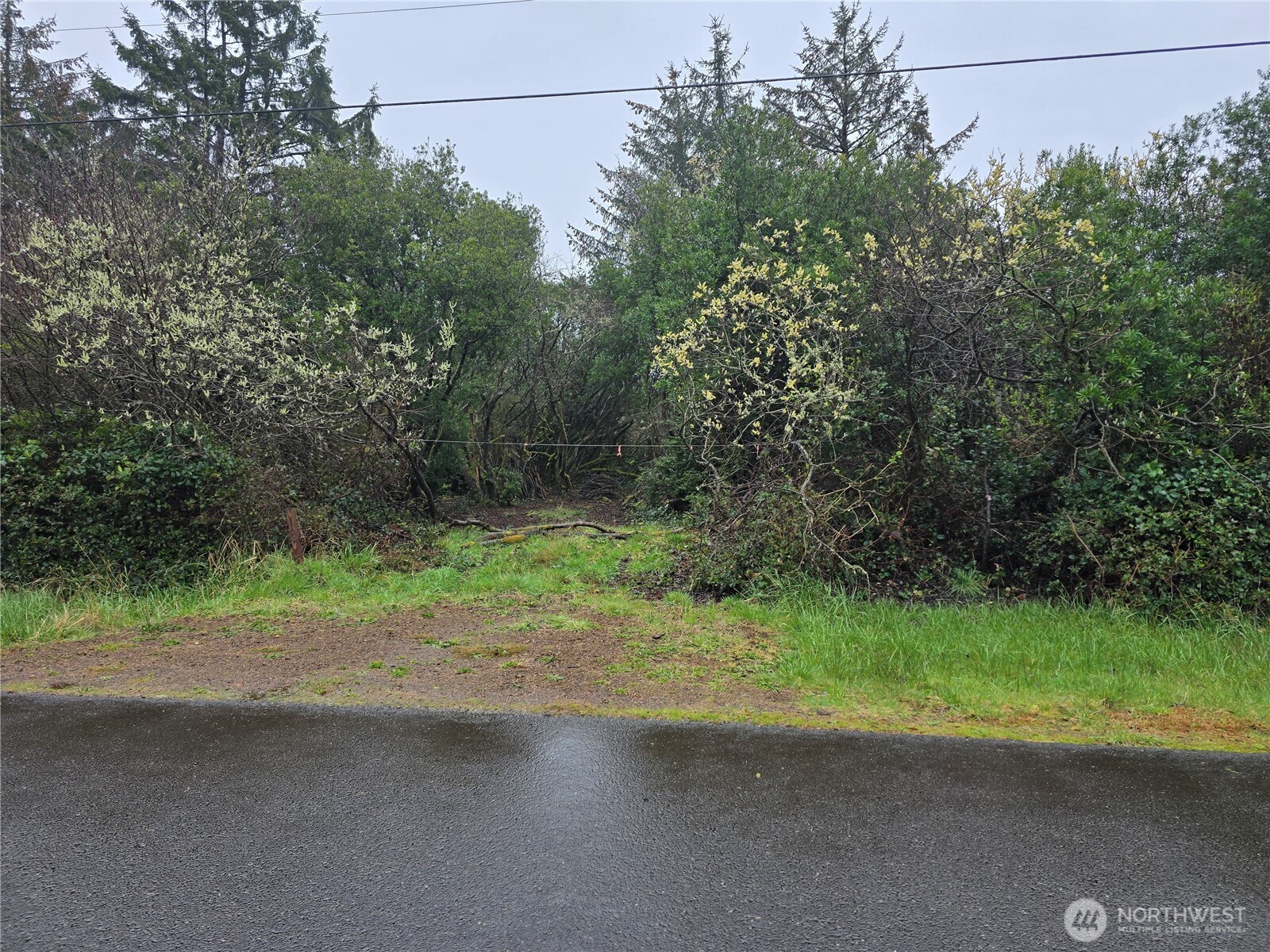 121 Kelp Street Property Photo 2