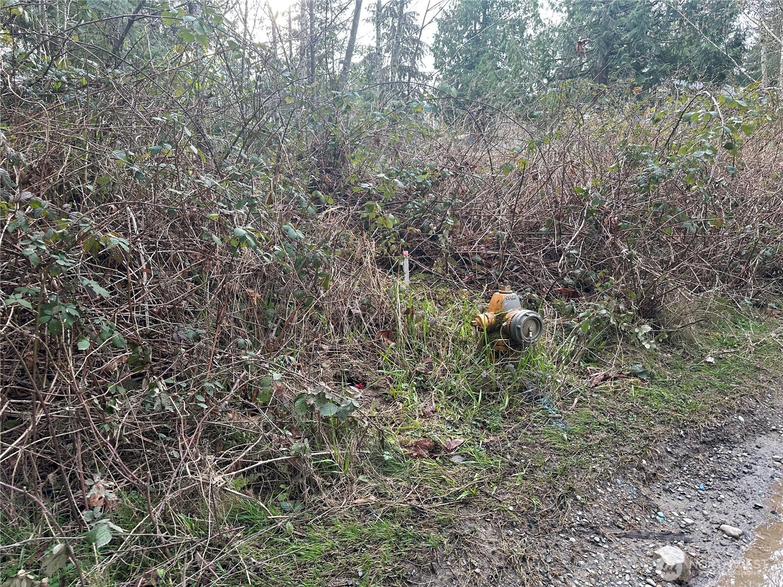 22 Lots E Washington Street Property Photo 8