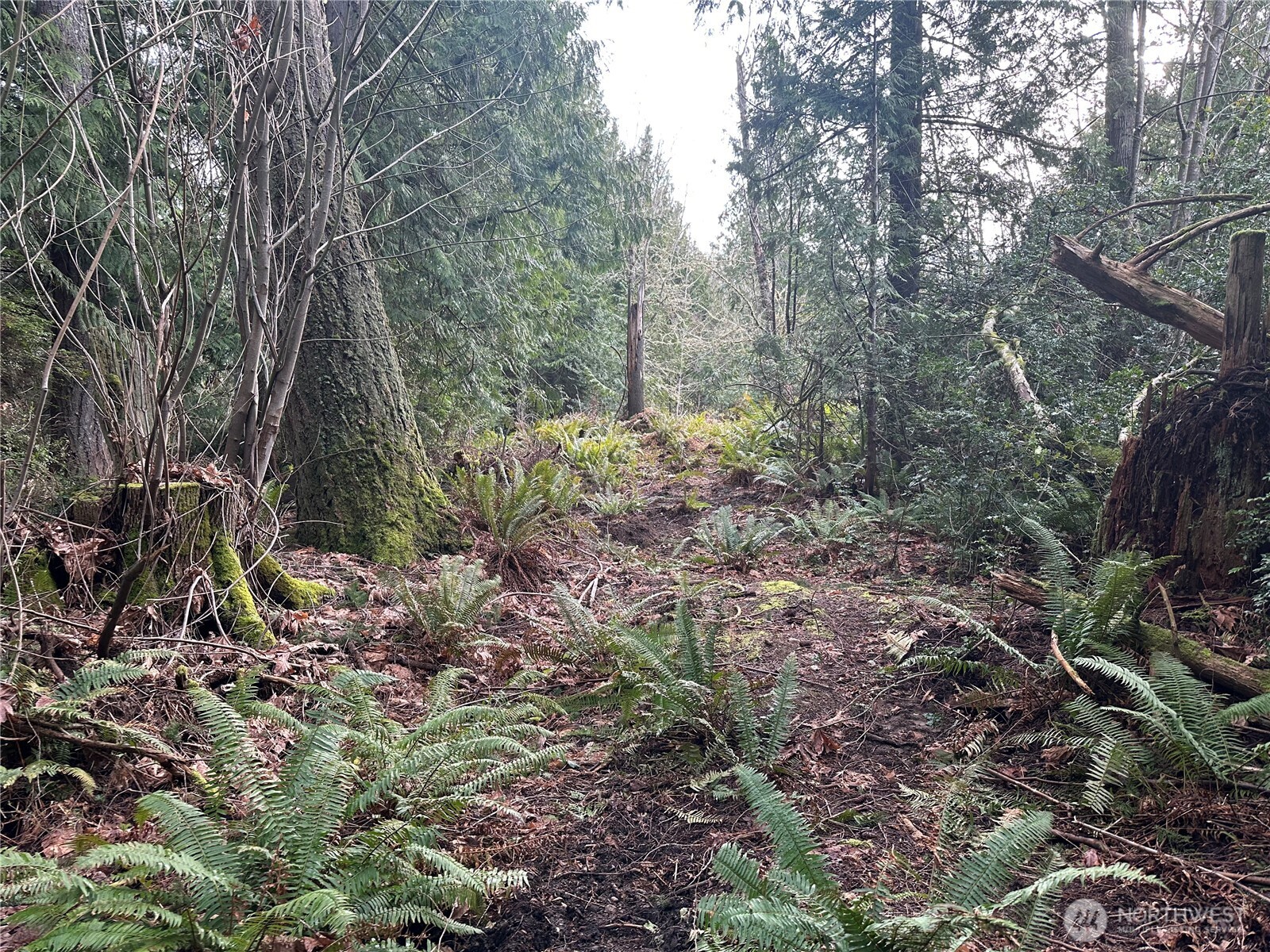 22 Lots E Washington Street Property Photo 9