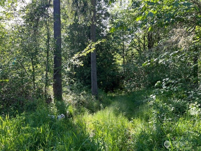 14414 Arrowood Lane Property Photo 3