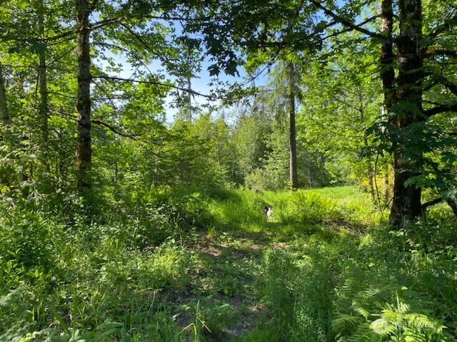 14414 Arrowood Lane Property Photo 6