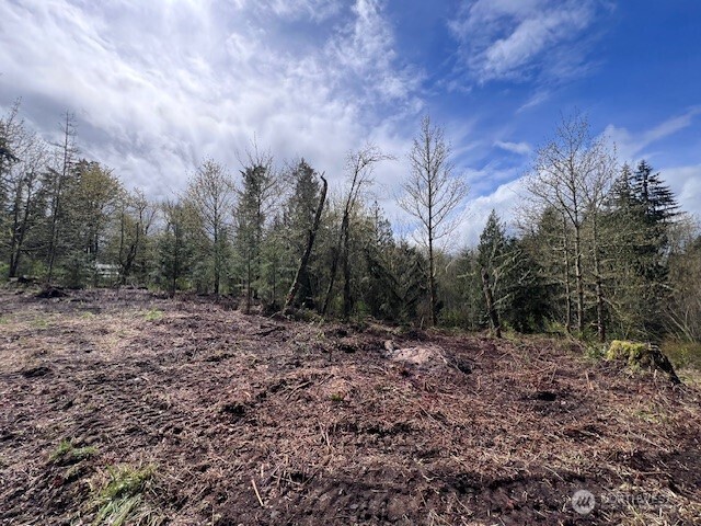 14414 Arrowood Lane Property Photo 12