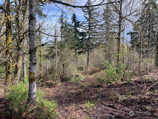 14414 Arrowood Lane Property Photo 16