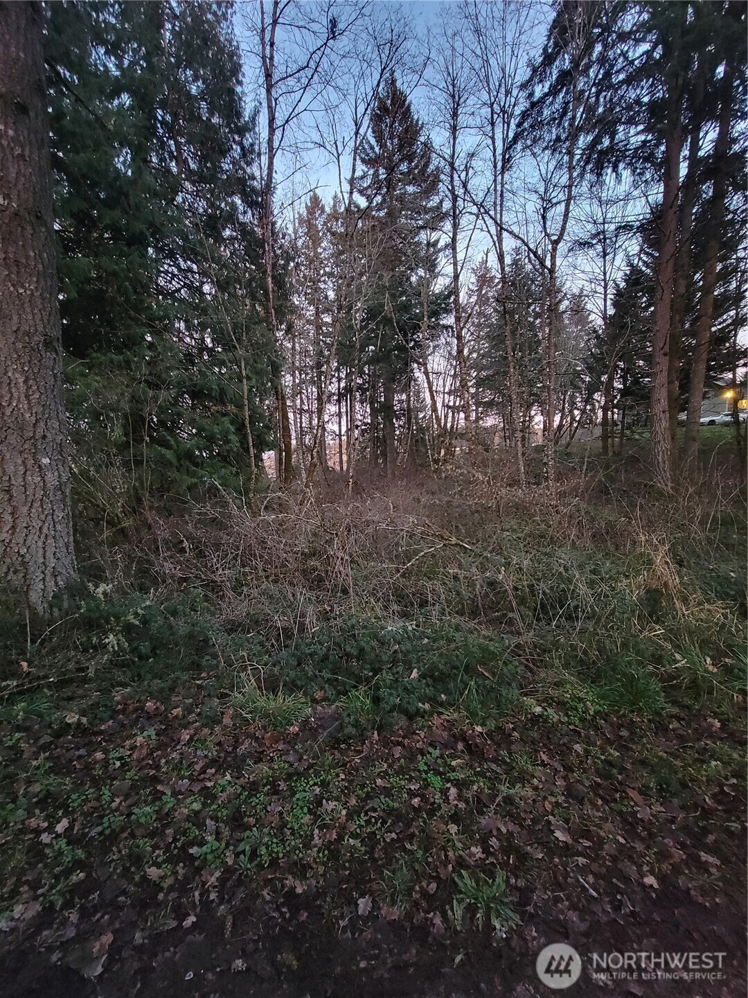 14308 86th Avenue Property Photo