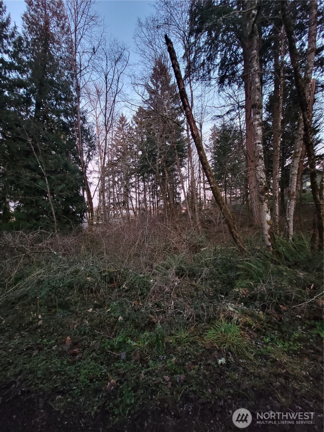 14308 86th Avenue Property Photo 2