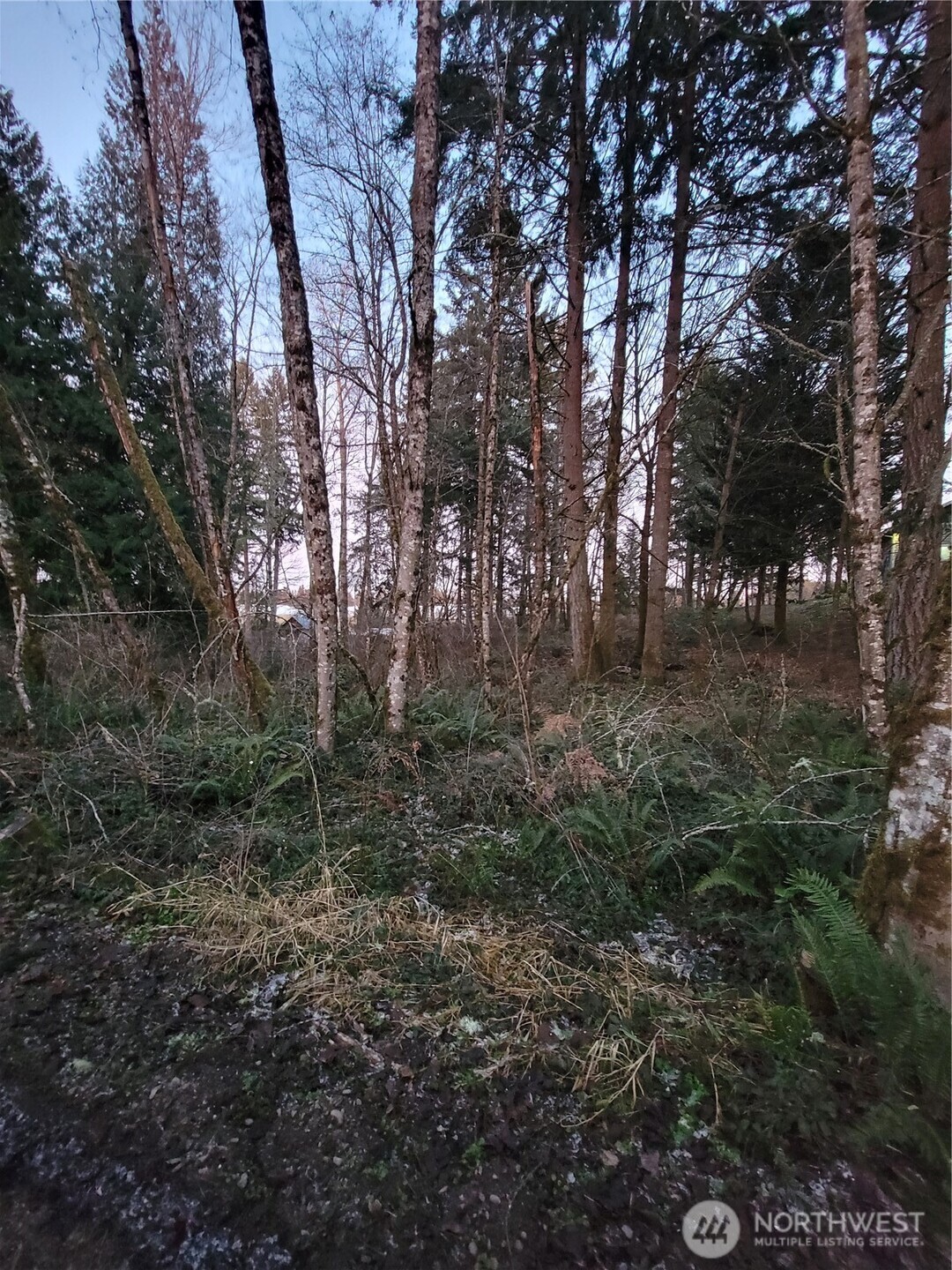 14308 86th Avenue Property Photo 3