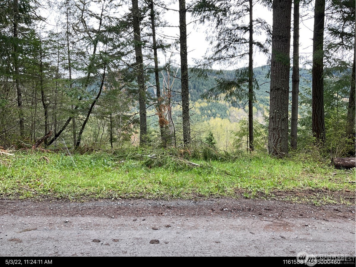 50113 146th Avenue Property Photo 6