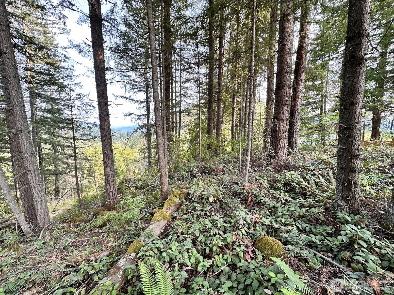 50113 146th Avenue Property Photo 8
