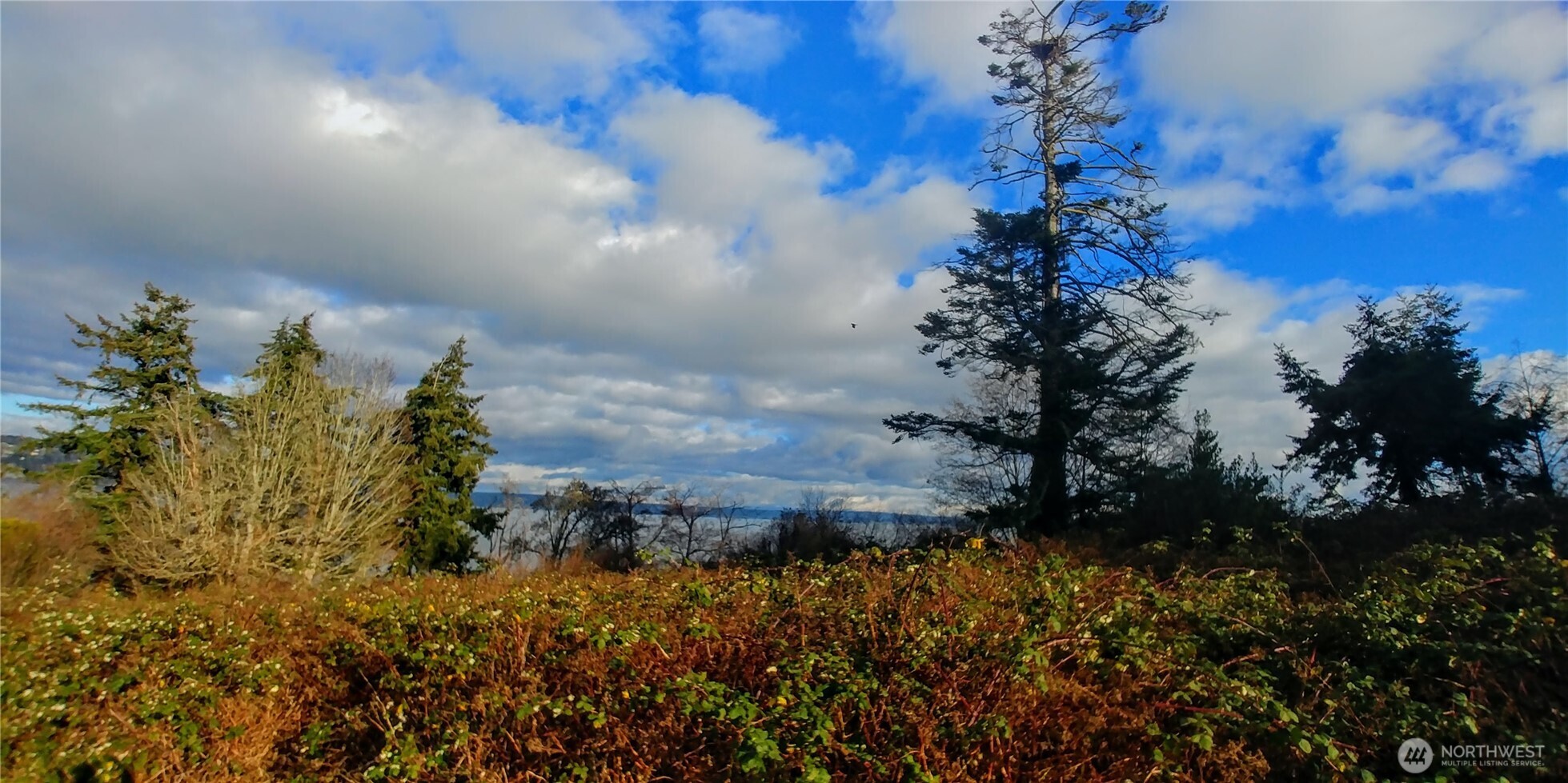 0 Maple Cove Road Property Photo 6