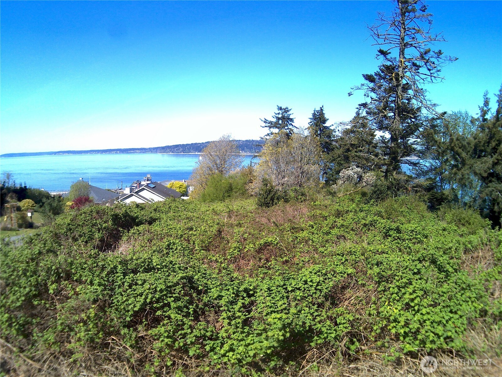 0 Maple Cove Road Property Photo 26
