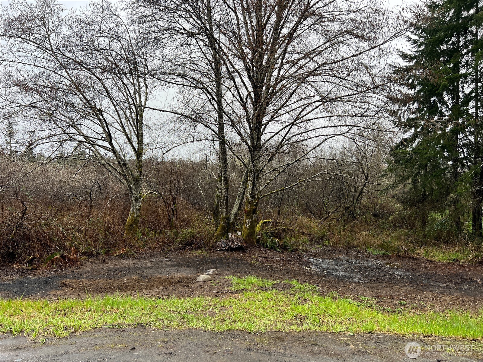 0 X Willapa Road Property Photo 2