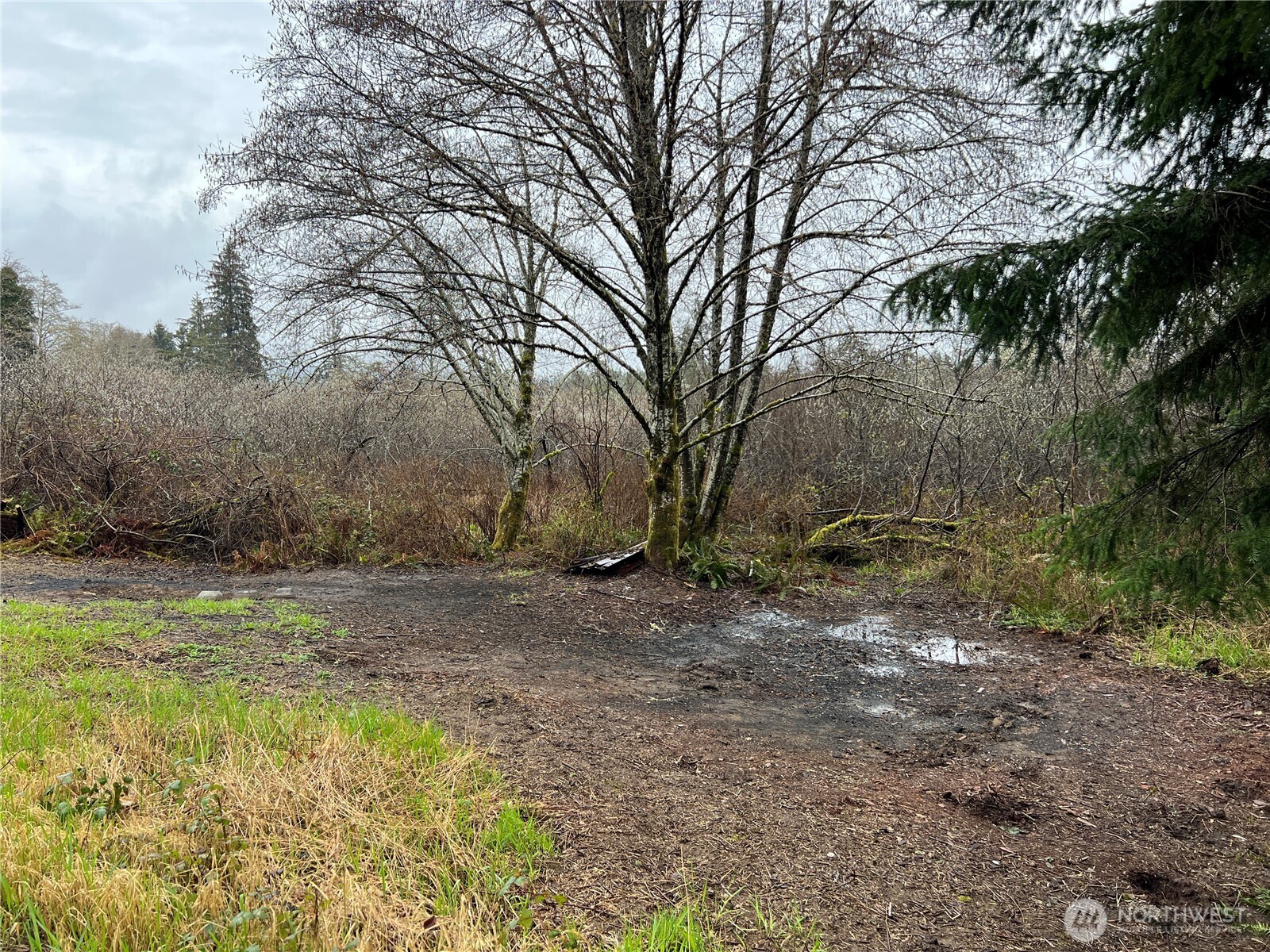 0 X Willapa Road Property Photo 3