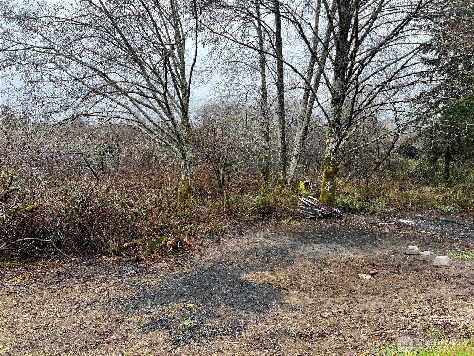 0 X Willapa Road Property Photo 4