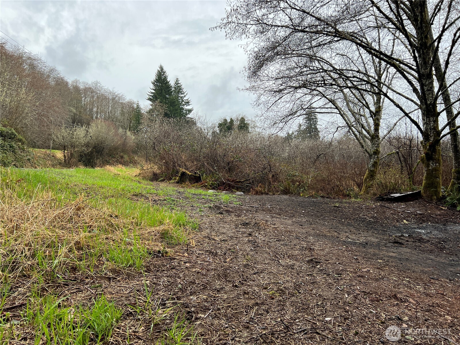 0 X Willapa Road Property Photo 5