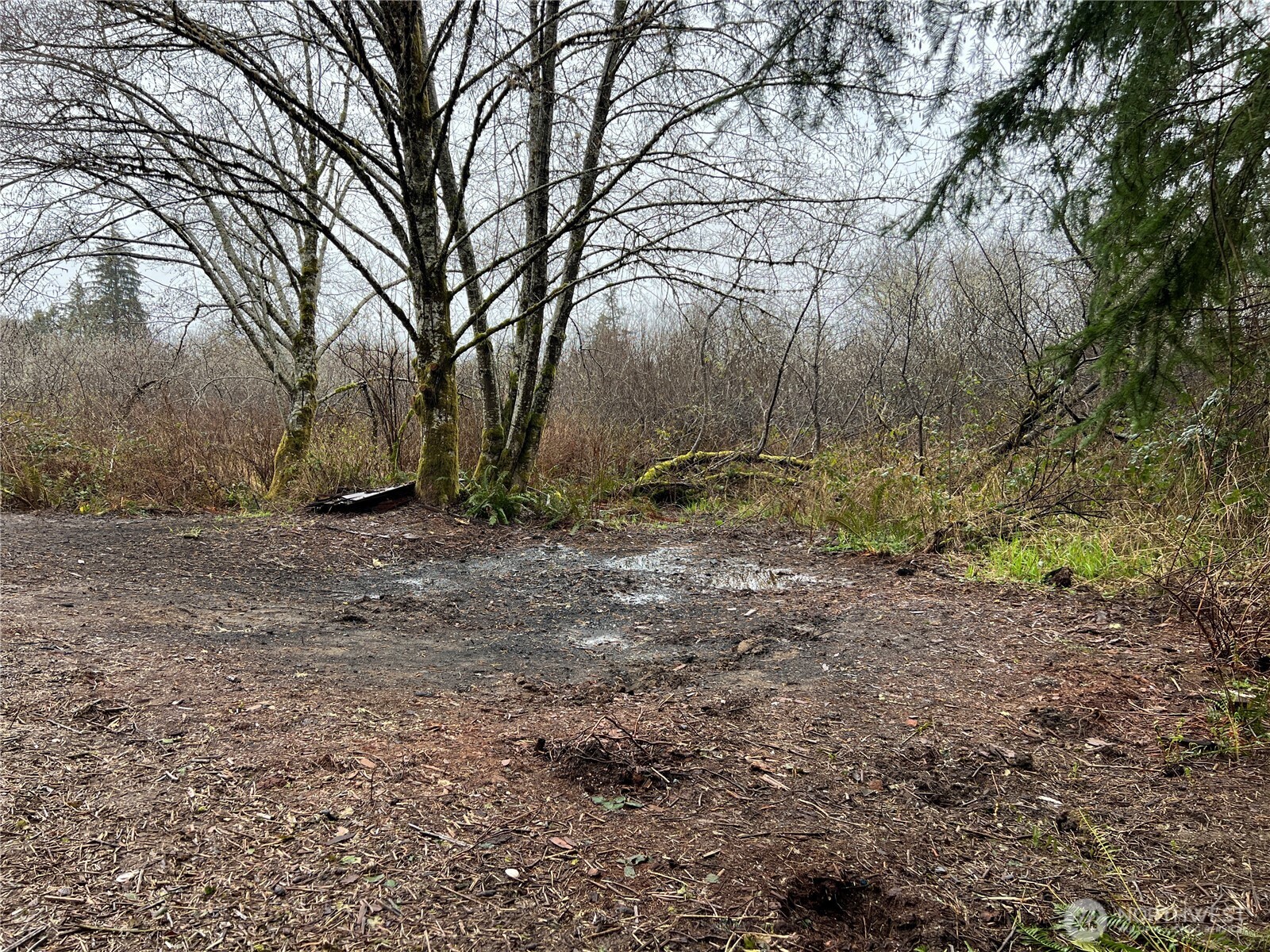 0 X Willapa Road Property Photo 6