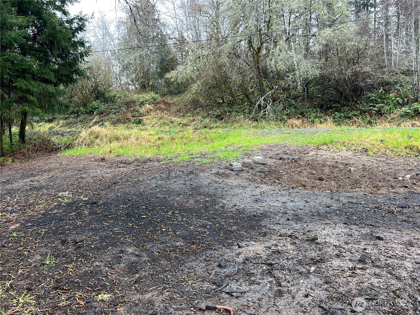 0 X Willapa Road Property Photo 8