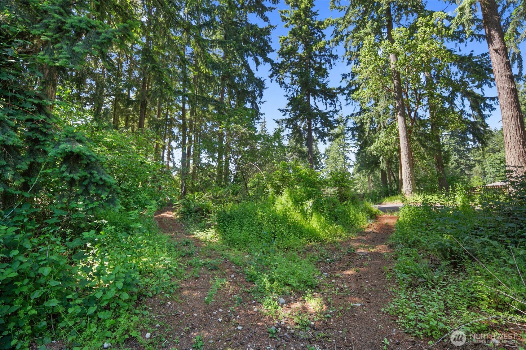 0 Xxx 28th Ave S Property Photo 3
