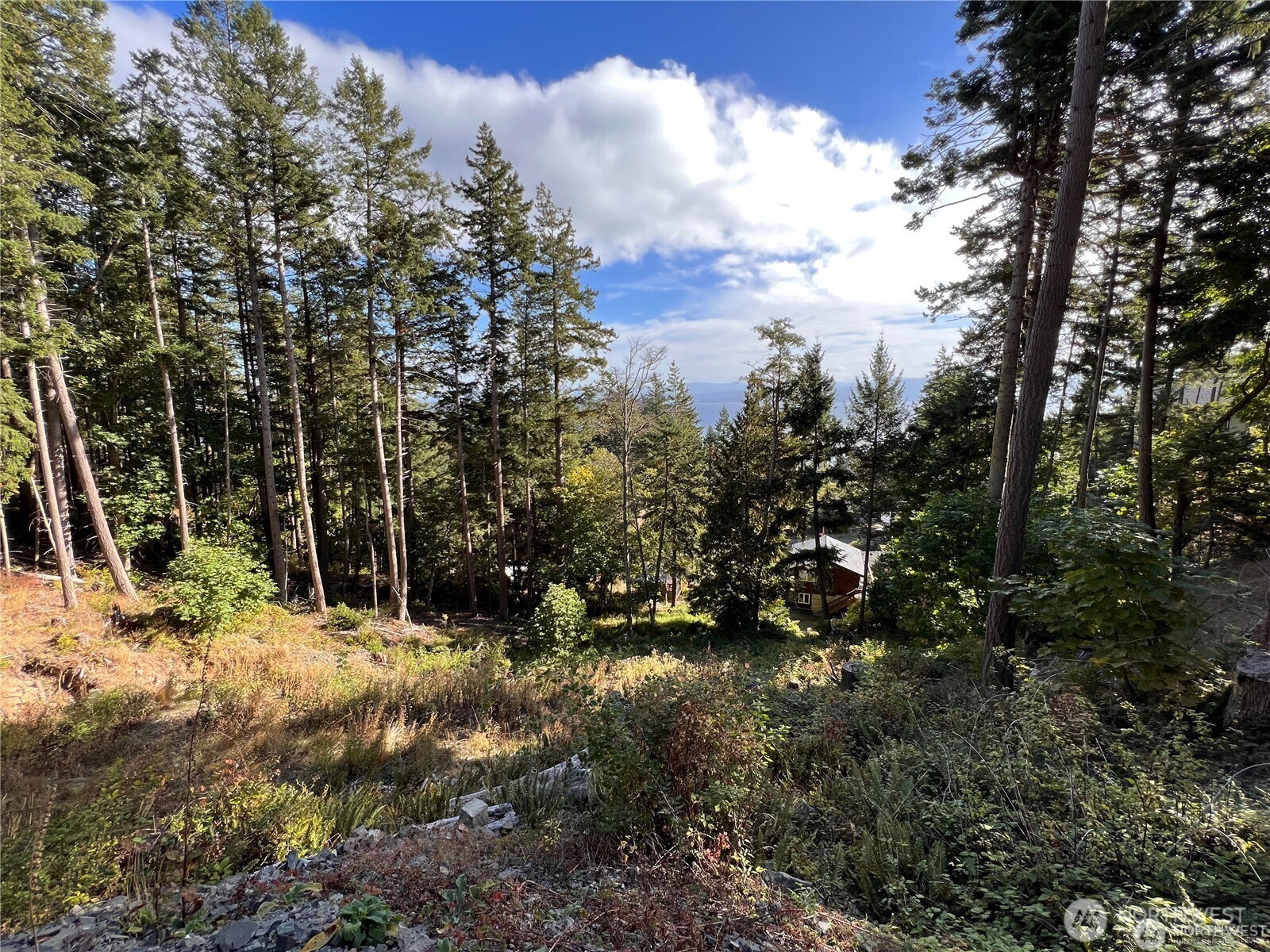 3010 Hales Passage Drive Property Photo 4