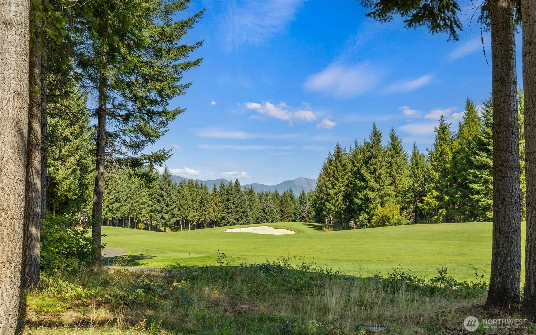 5350 Tumble Creek Drive Property Photo 1