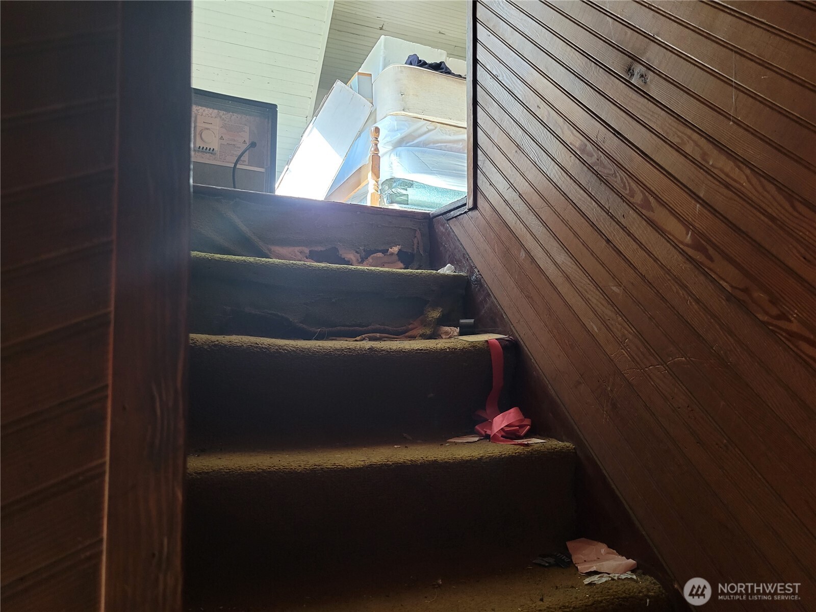 9710 Brownsville Highway Property Photo 20