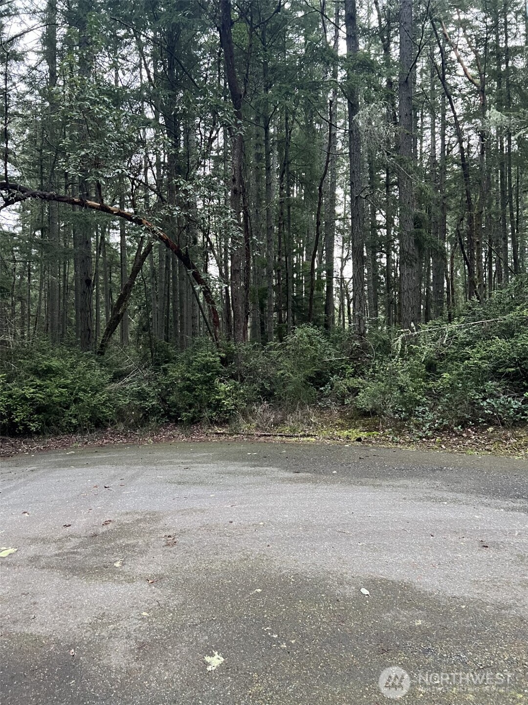 Steilacoom Historica Real Estate Listings Main Image