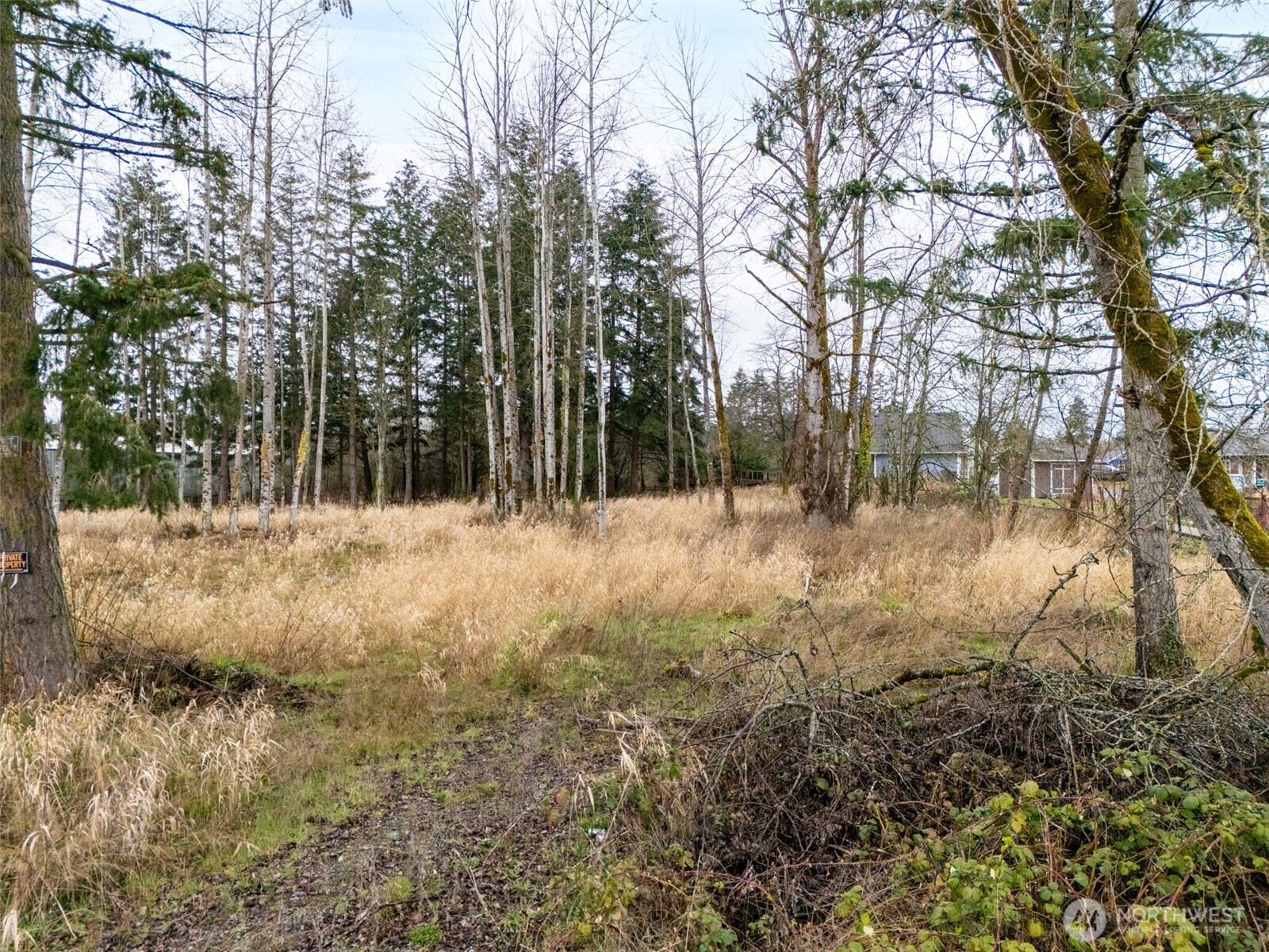 10510 & 10514 Golden Given Road Property Photo 3