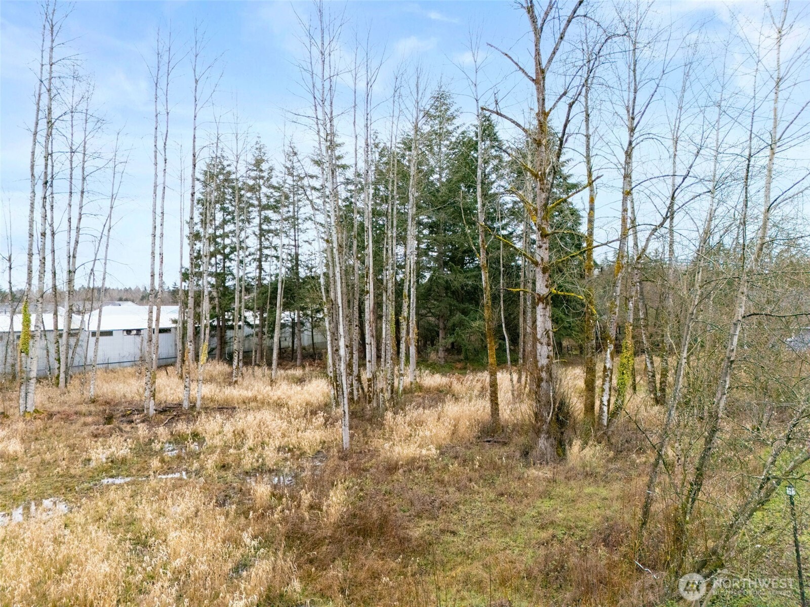 10510 & 10514 Golden Given Road Property Photo 4
