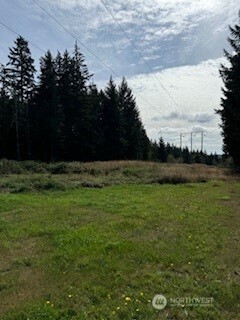 0 Old Sawmill Place Property Photo 2