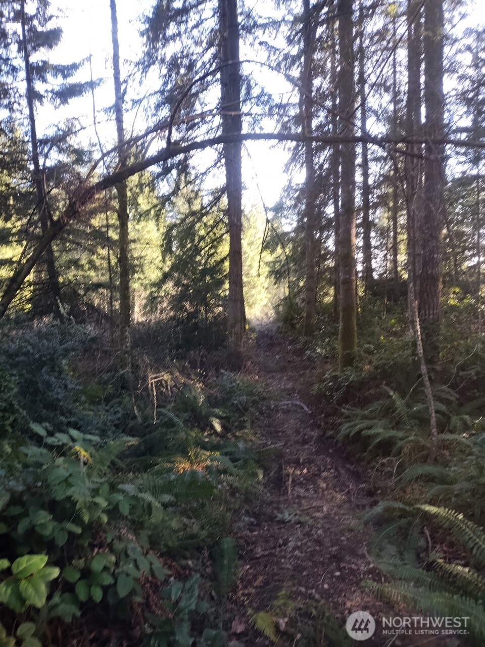 0 Old Sawmill Place Property Photo 3
