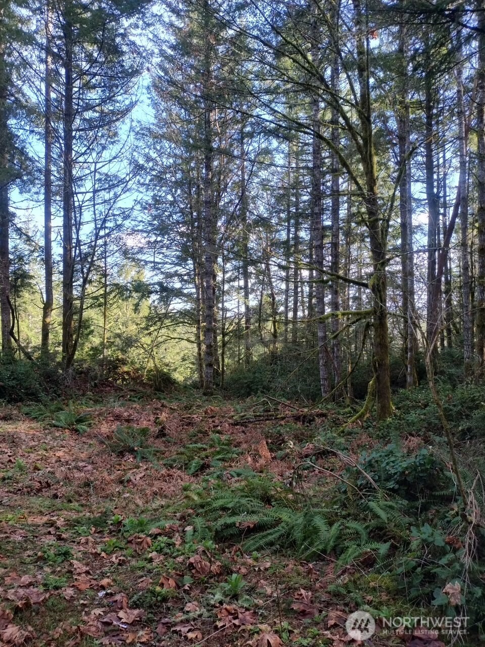 0 Old Sawmill Place Property Photo 8