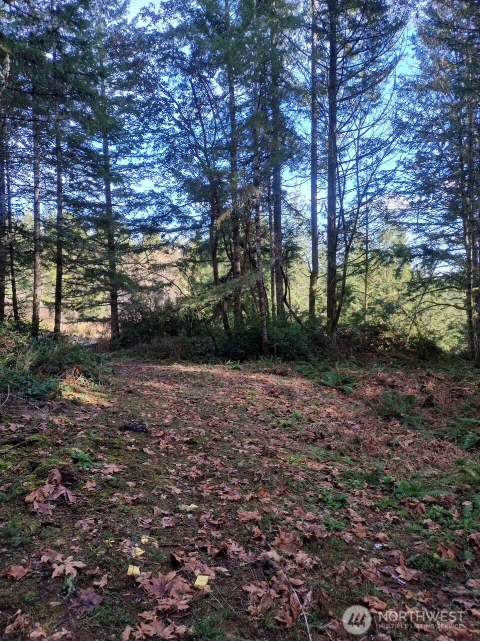 0 Old Sawmill Place Property Photo 9