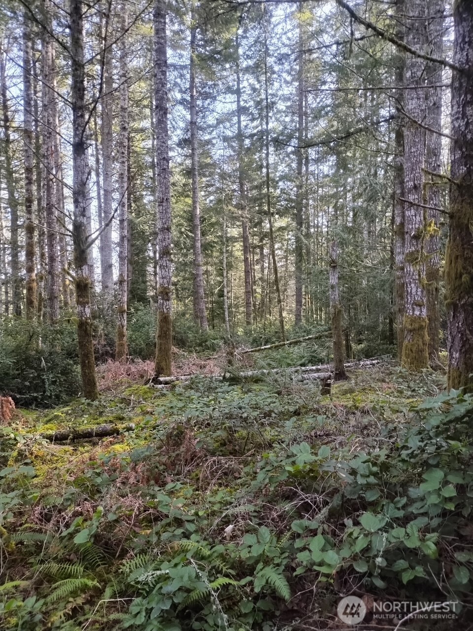 0 Old Sawmill Place Property Photo 10