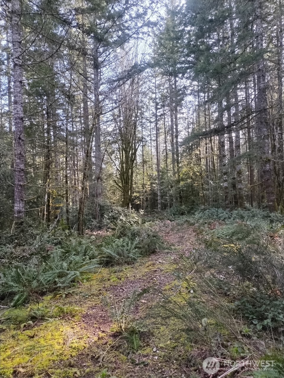 0 Old Sawmill Place Property Photo 11