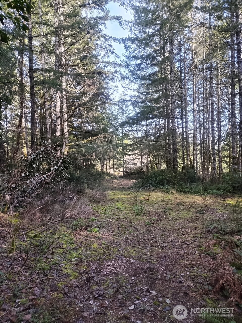 0 Old Sawmill Place Property Photo 12