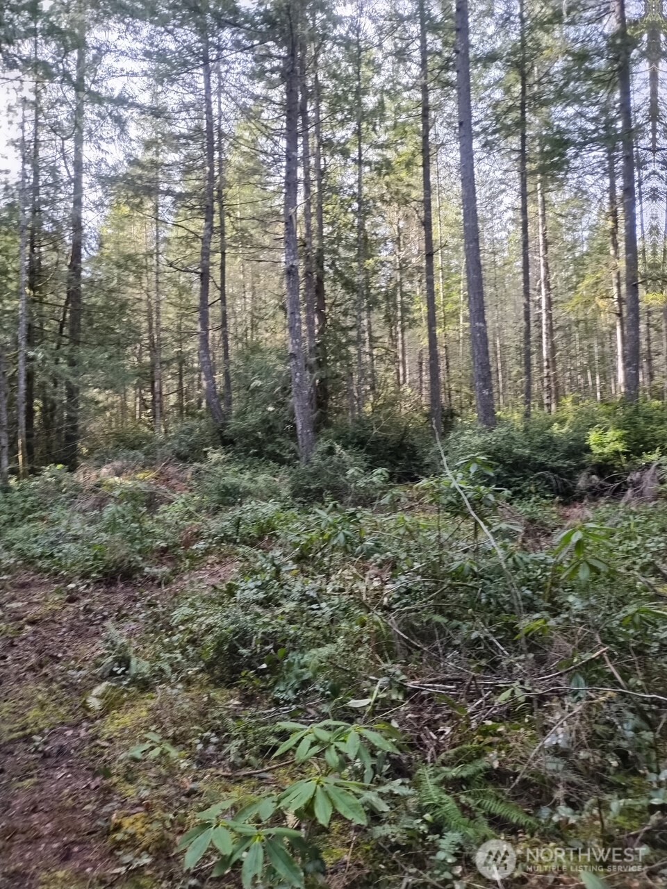 0 Old Sawmill Place Property Photo 17