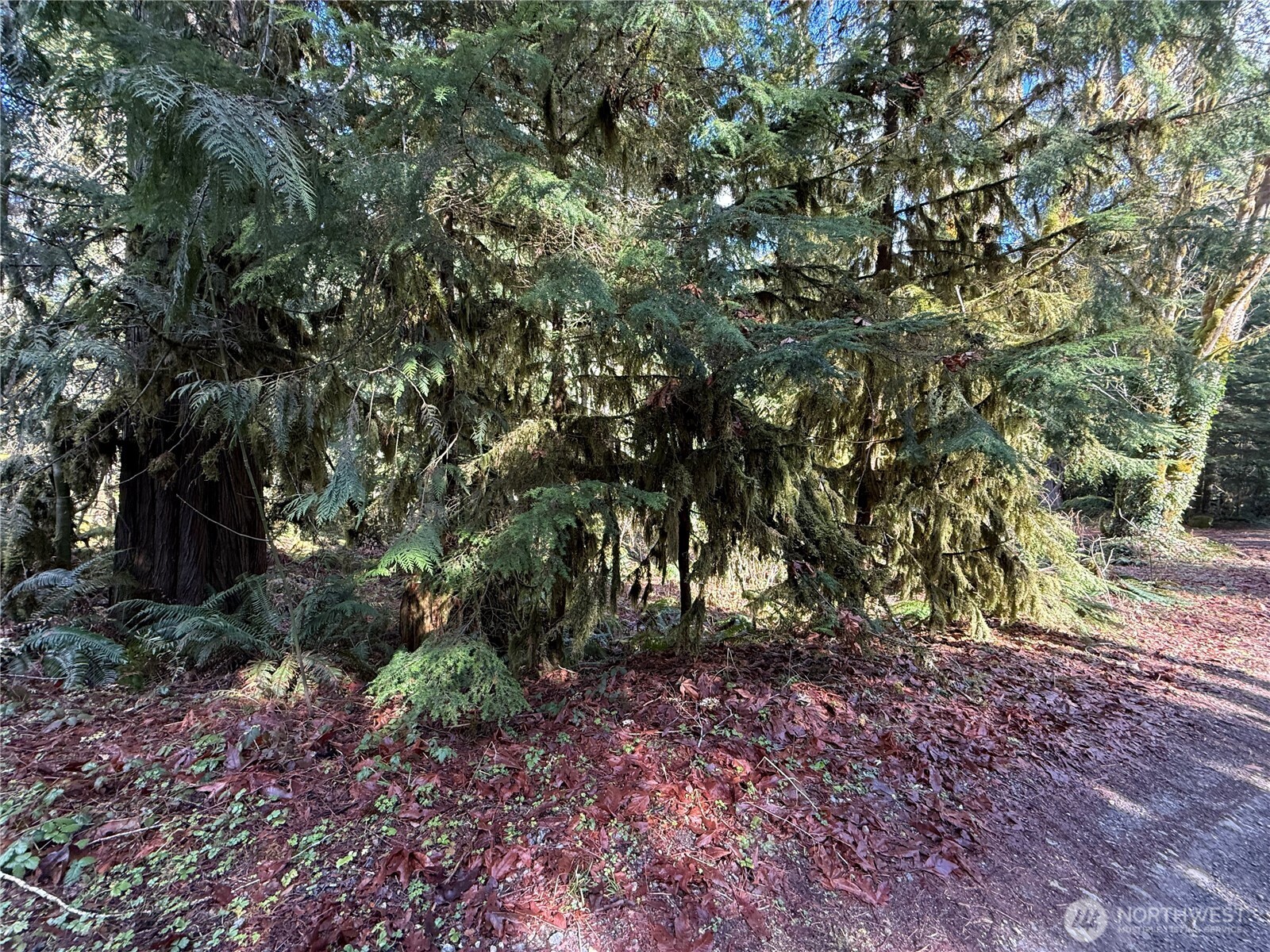 0 High Ridge Drive Property Photo 2